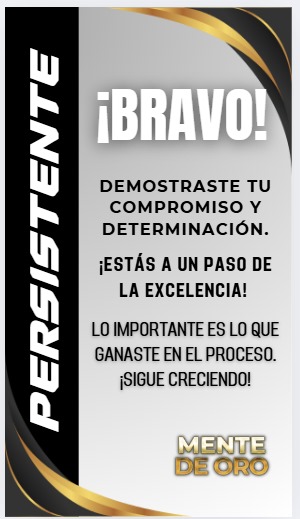 Insignia Nivel Persistente